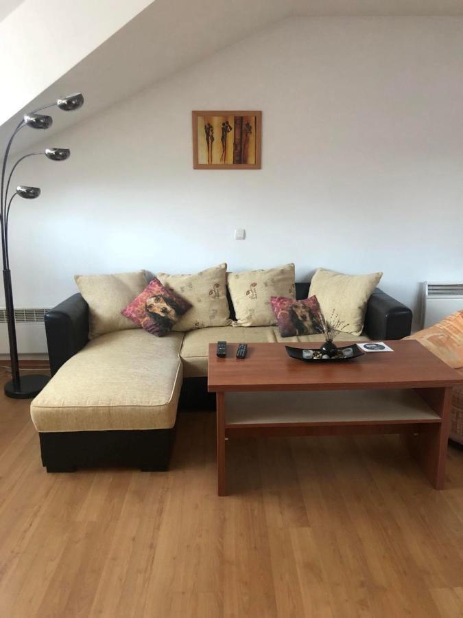 Two Bedroom Flat In Magernitsa بانسكو المظهر الخارجي الصورة